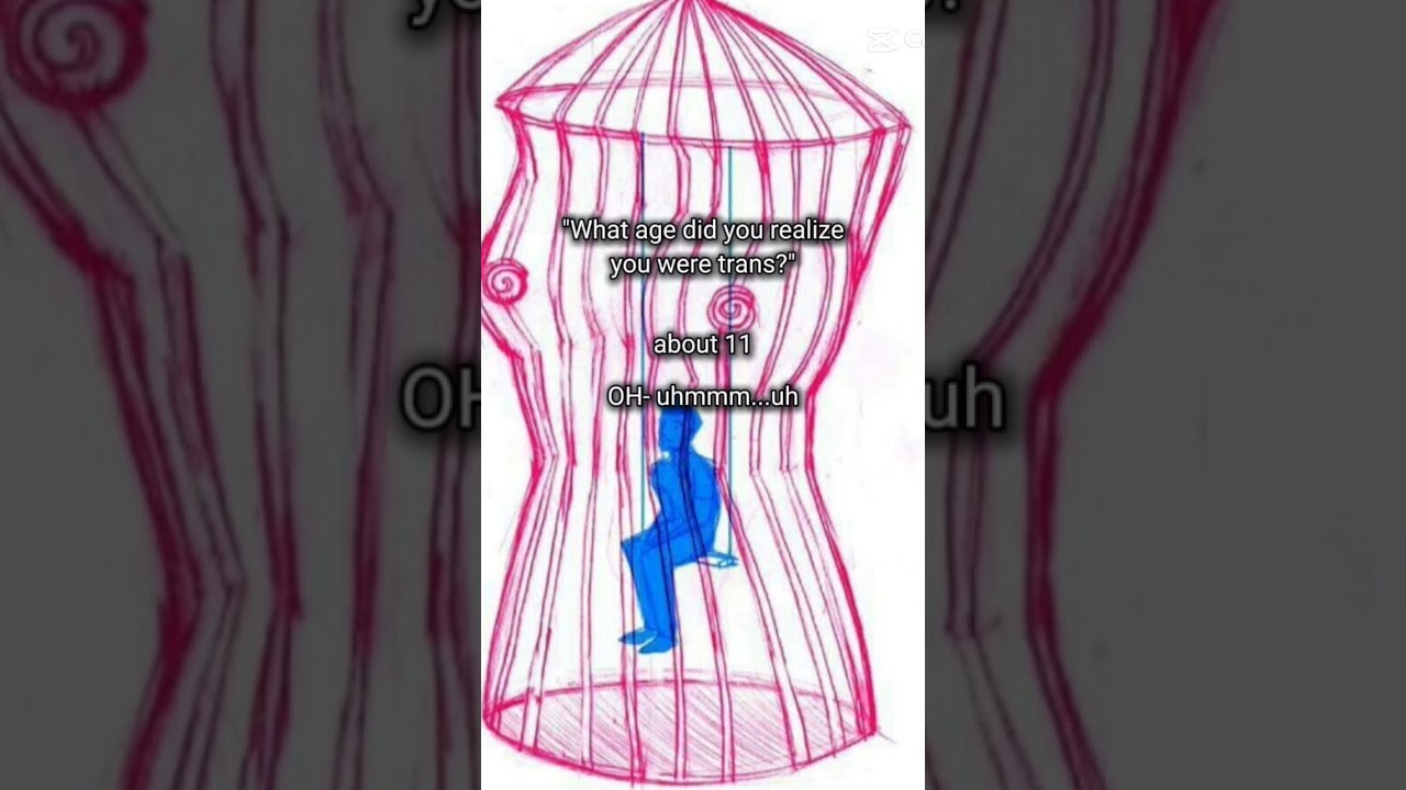 what's with this stereotype of trans people 