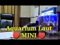 UPDATE 4 BULAN AQUARIUM LAUT MINI KANTOR PIMPINAN BUMN