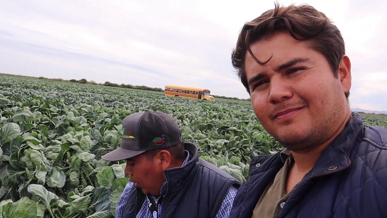El cultivo del mañana / COL DE BRUSSELAS recorrido de campo!!