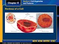 講義 # 1: 細胞生物学の紹介