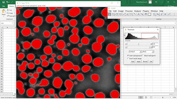 Cara Menganalisis Data SEM menggunakan Software ImageJ ,Excel dan Origin