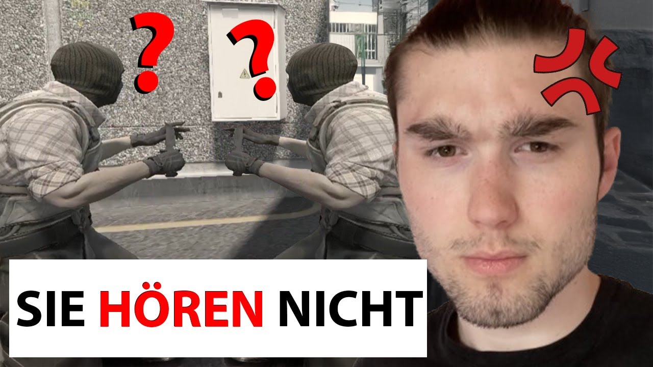 MEINE TEAMMATES SIND NPCS - Counter Strike