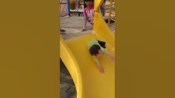 #shortsvideo #cutee #viral #intersting #interiew #animals 1   Copy