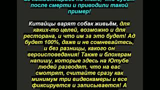 Пришельцы и бог, одно и тоже, читаем волеизъявление во вселенную в 20 45  Войну