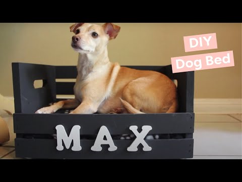 diy-dog-bed-(for-small-dogs!)---hgtv-handmade