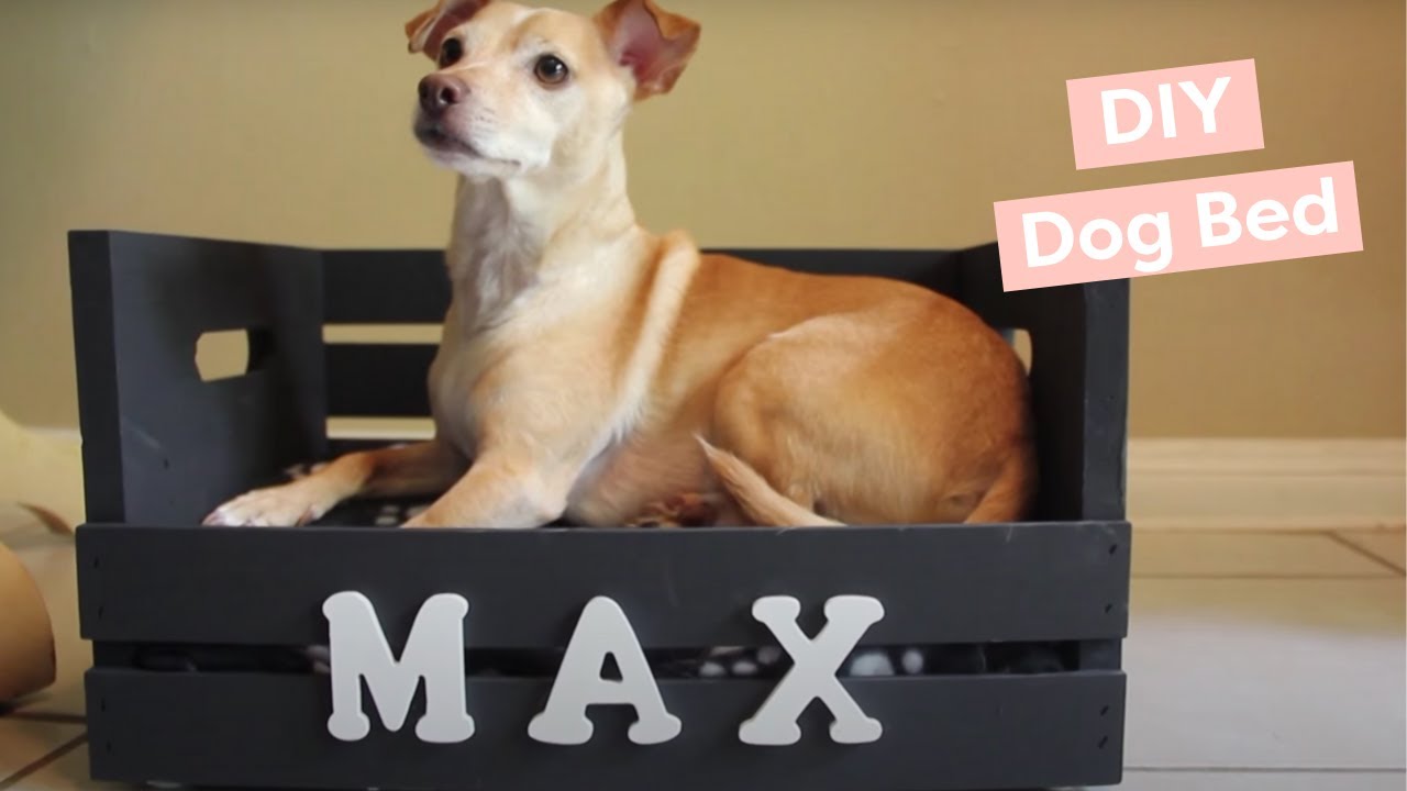 diy small dog bed