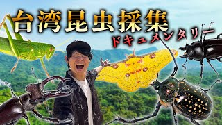 台湾でとんでもない昆虫たちを探せ!!!!〜ドキュメンタリー〜