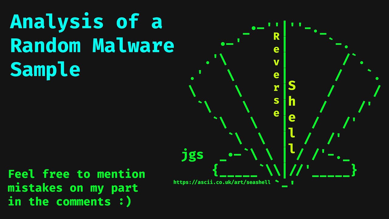 Malware Analysis of a Random Sample - Reverse Shell - YouTube