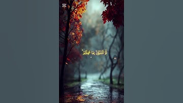 قرآن كريم  ...  تلاوة الشيخ ياسر الدوسري