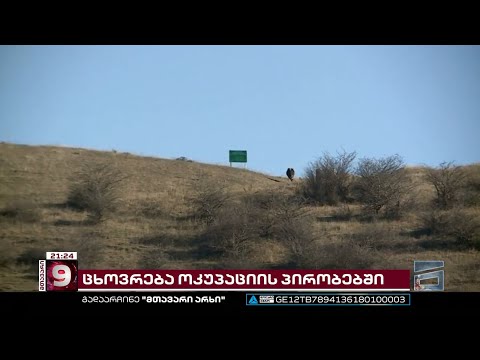 კიდევ 2 მოქალაქე ოკუპანტების ტყვეობაში | ახალი წელი რუსებმა გატაცებებით დაიწყეს