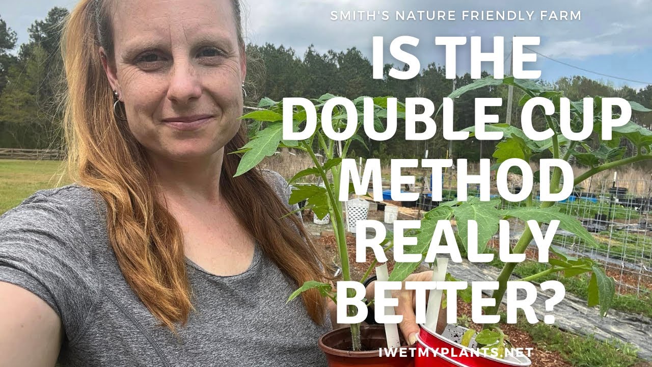 Is the double cup method for seedlings really better? - YouTube