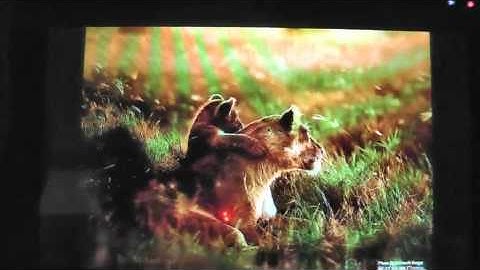 Pad U27 Demo: Android 2.2 Tablet PC, 1G CPU, WiFi, 3G, Flash, 7" Touch Screen, Camera, HDMI Output