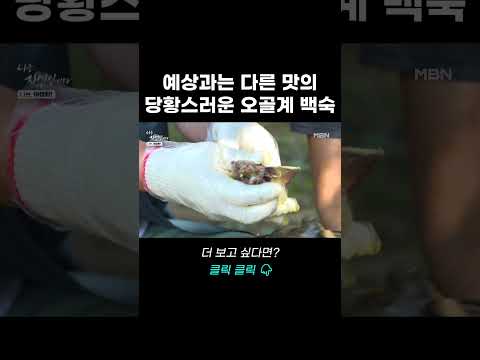 #shorts  | 나는 자연인이다 <strong>627회</strong>