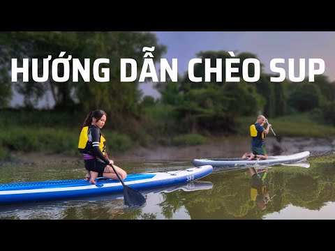 Video: Hướng dẫn dành cho người mới bắt đầu để chèo ván đứng