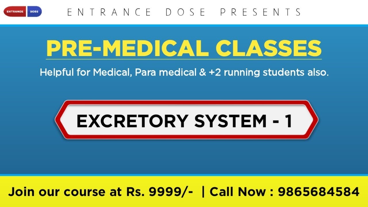 Premedical EXCRETORY SYSTEM Orientation Day 1