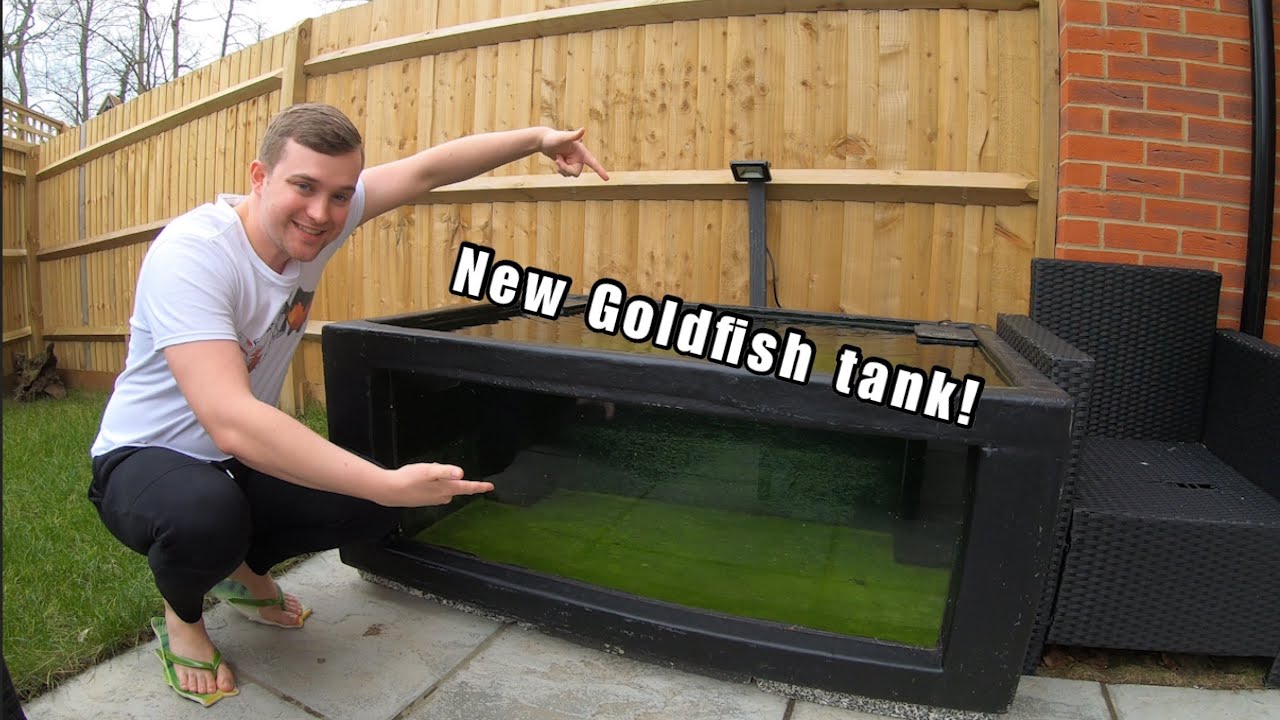 Setting up a new aquarium (Part 1) Outdoor goldfish tank! YouTube