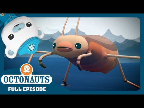 Octonauts The Sea Skaters Season 3 Full Episode Cartoons For Kids