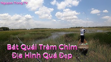 Bơi Xuồng Câu Cá Lóc Tràm Chim #2 || Được Ngày Cá Ăn Mạnh | Cận Cảnh Cá Táp Mồi
