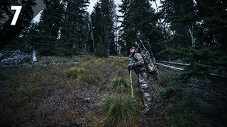 A Mountain Bear Hunt in the Steep Avalanche Shoots! | 2026 EP.07