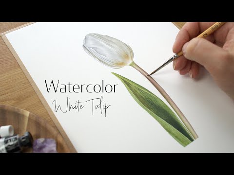 White tulip #tutorial #tulip #zyxcba #abzyca #jomnikah