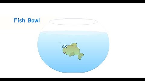 Animation of AQUARIUM with fish of Bowl using HTML CSS