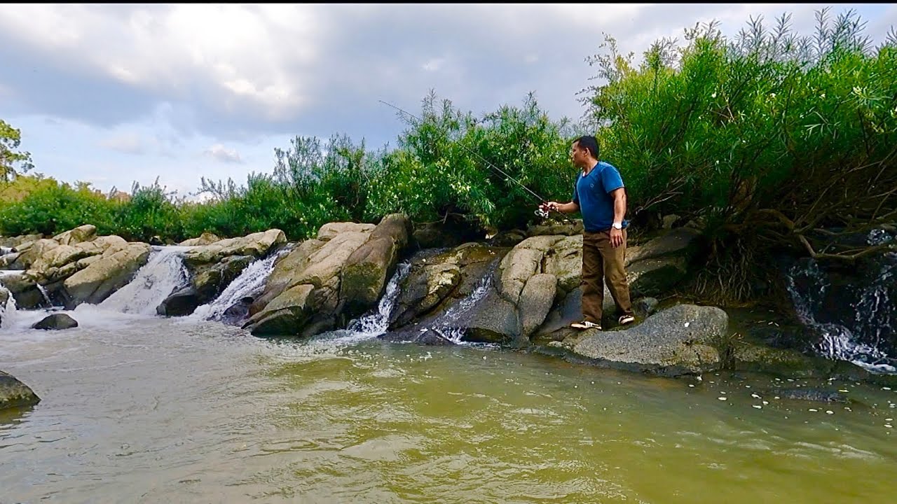 Câu Cá, Cắm Trại, Bất Ngờ Với Kiểu Câu Độc Lạ / Go into the forest to look for precious fish