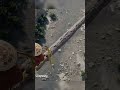 Try it your self 🤣 #crimsondesertgame #crimsondesertgameplay #crimsondesertguide #gaming