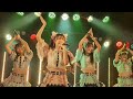 わーすた すまん、犬。 20240811