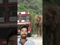 Road tex🤣🤣 #comedyshorts #animallife #elephant