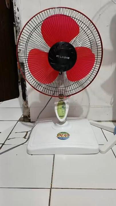 Fan Bald ‼️ #fan #ventilateur #ventilador #kipasangin #shorts #lucu #comedy #trending
