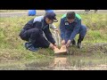 10センチの調整板で 田んぼダム 雨水ためて下流域の浸水被害を軽減 佐賀県 10センチの調整板で 田んぼダム 雨水ためて下流域の浸水被害を軽減 佐賀県