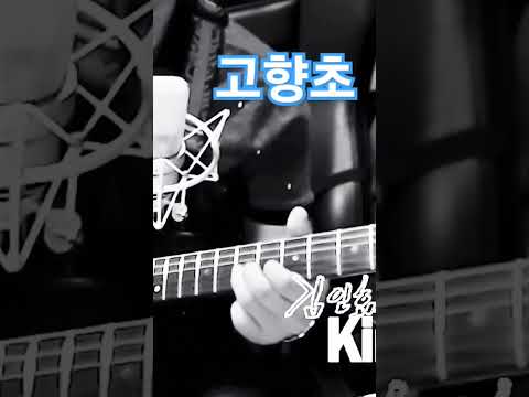 <strong>고향초</strong>(장세정) 김인효기타연주 Kiminhyo Guitar