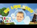 Baby Jake - Be Like Bees | Yacki Yacki Yoggi |