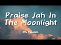 Praise Jah In The Moonlight ~ YG Marley (Lyrics) | These Roads Of Flames Are Catching A Fire
