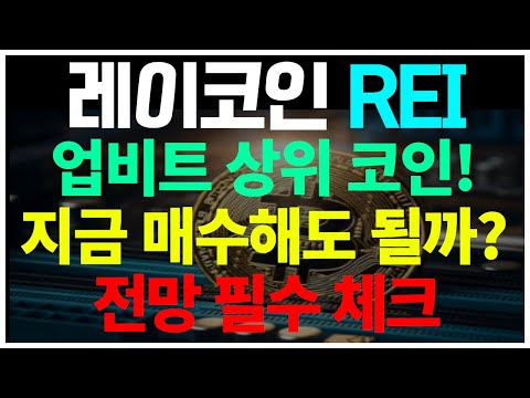   레이코인 업비트 상위 코인 지금 매수해도 될까 전망 필수 체크