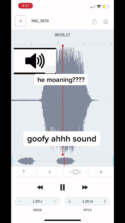 sound meme viral tiktok🤣 ha,ha,haaaaaaa