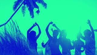 Video thumbnail of "TROPICAL HOUSE GUITAR VIDEO"