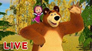 Masha And The Bear Live Stream Best Cartoons For Children