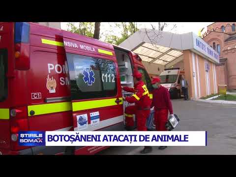 Video: 5 Moduri în Care Adăposturile Pentru Animale își Păstrează Ușile Deschise (și Cum Poți Ajuta)