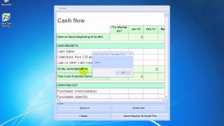How To Use Excel Cash Flow Template Software screenshot 5