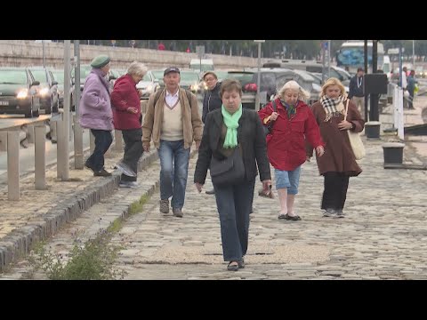 Videó: Scumpia (64 Fotó): ültetés és Gondozás Nyílt Terepen, A Moszkvai Régió Fajtáinak Leírása, Lila és Más Fajok, Scumpia A Tájtervezésben
