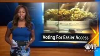 TV news reporter quits live on air over Alaska Cannabis Club