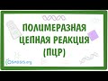 ПЦР - полимеразная цепная реакция и ПЦР с обратной транскрипцией