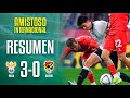 Rusia 3 0 Bolivia Resumen Del Partido Fecha FIFA