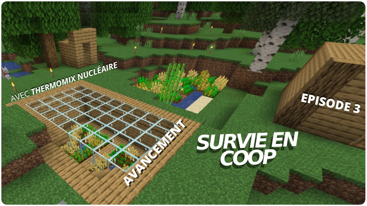 MINECRAFT SURVIE EN COOP #3 - YouTube