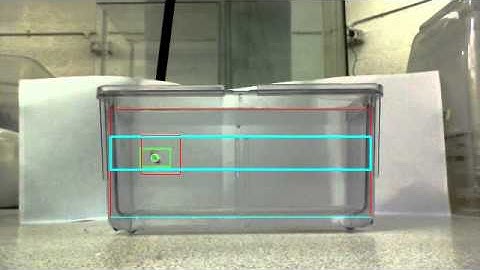 Fish tracking. (OpenCV, Mean-Shift)