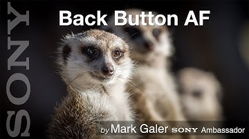 Back Button Focus for Sony Alpha Cameras (Pre 2020 Alpha Cameras)