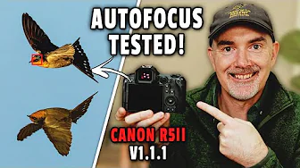 Canon R5II New Firmware - Has It Improved The AF? (Precapture, Password & More!)