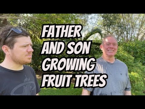 Father and Son Growing Fruit Trees