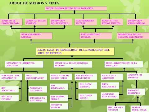 Video: ¿Qué matrícula tiene un árbol en el medio?